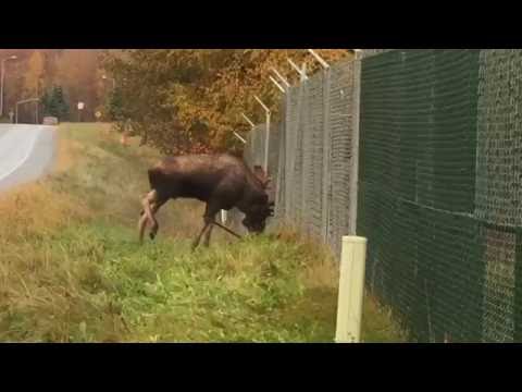 Video e-kaart Aed ei ole takistuseks