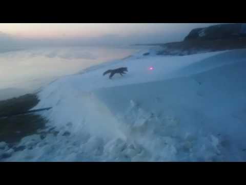 Video e-kaart Mis punane täpp see küll on?