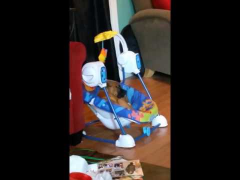 Video e-kaart Kiiges on mugavam