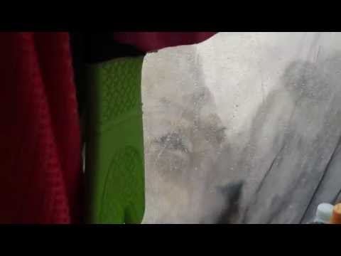 Video e-kaart Külalised akna taga