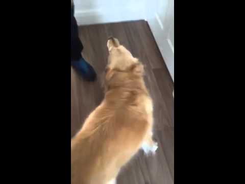 Video e-kaart Pereliige on tagasi!