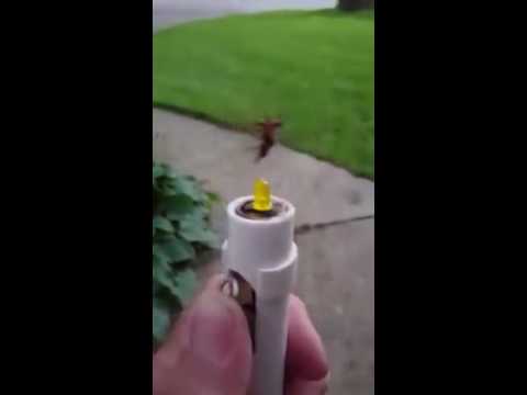 Video e-kaart Peibutis