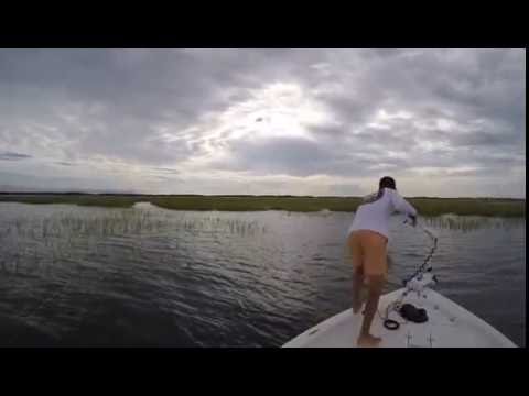 Video e-kaart Mees lihtsalt ei õpi vigadest