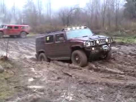 Video e-kaart Hummerid mudas möllamas