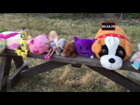 Video e-kaart Ninjasõdalase kodueri