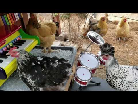 Video e-kaart Tagahoovi ansambel